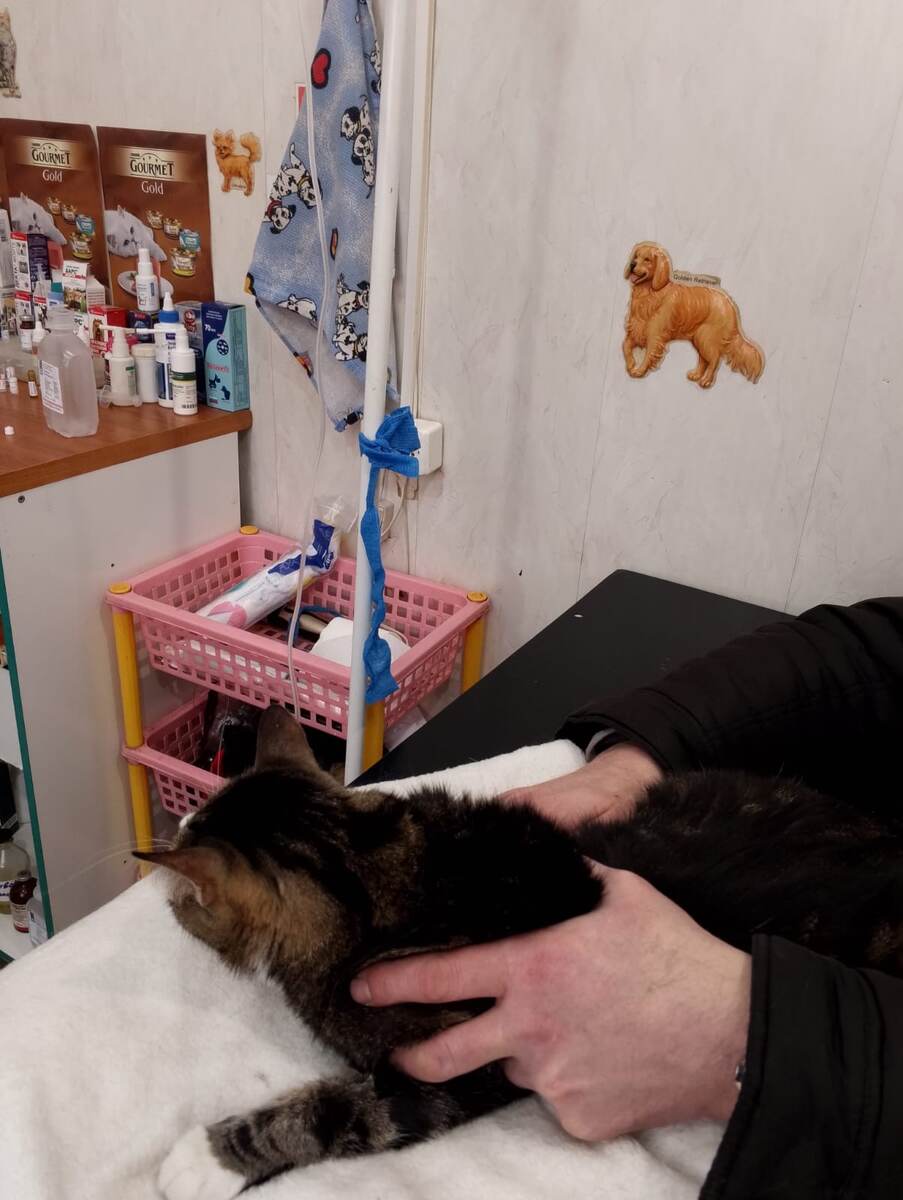 На очередной капельнице