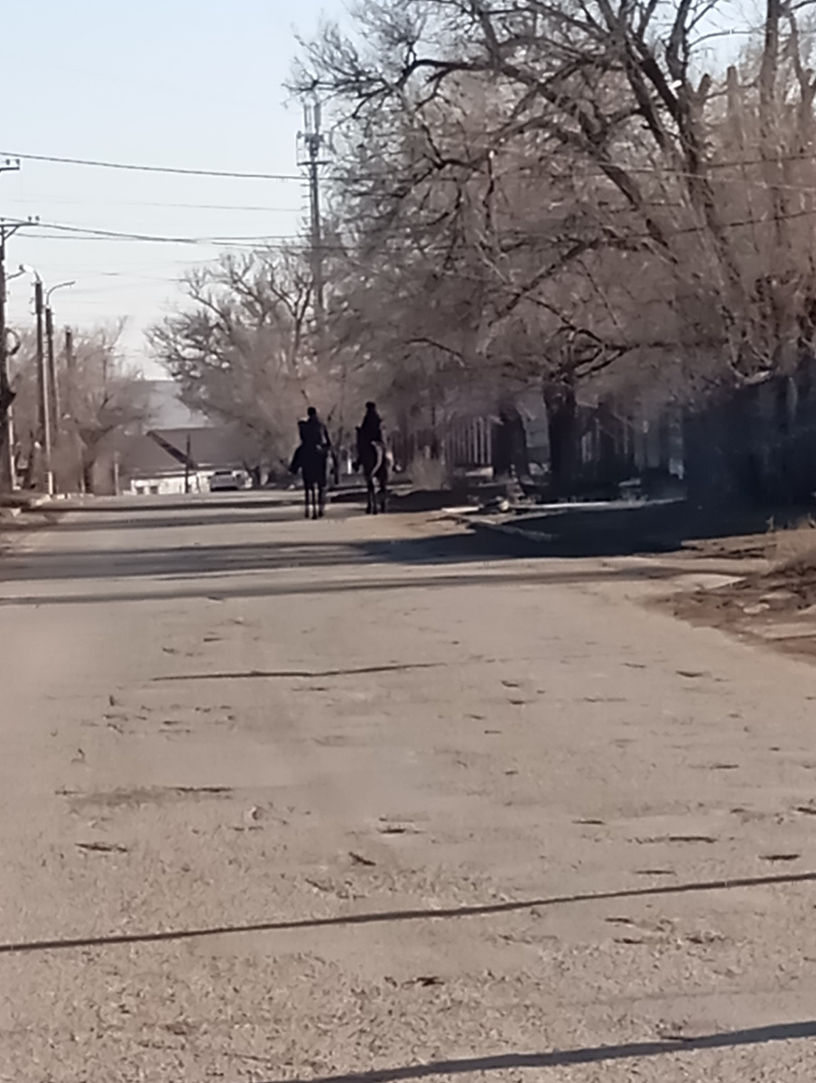 Далековато, но коней видно. 