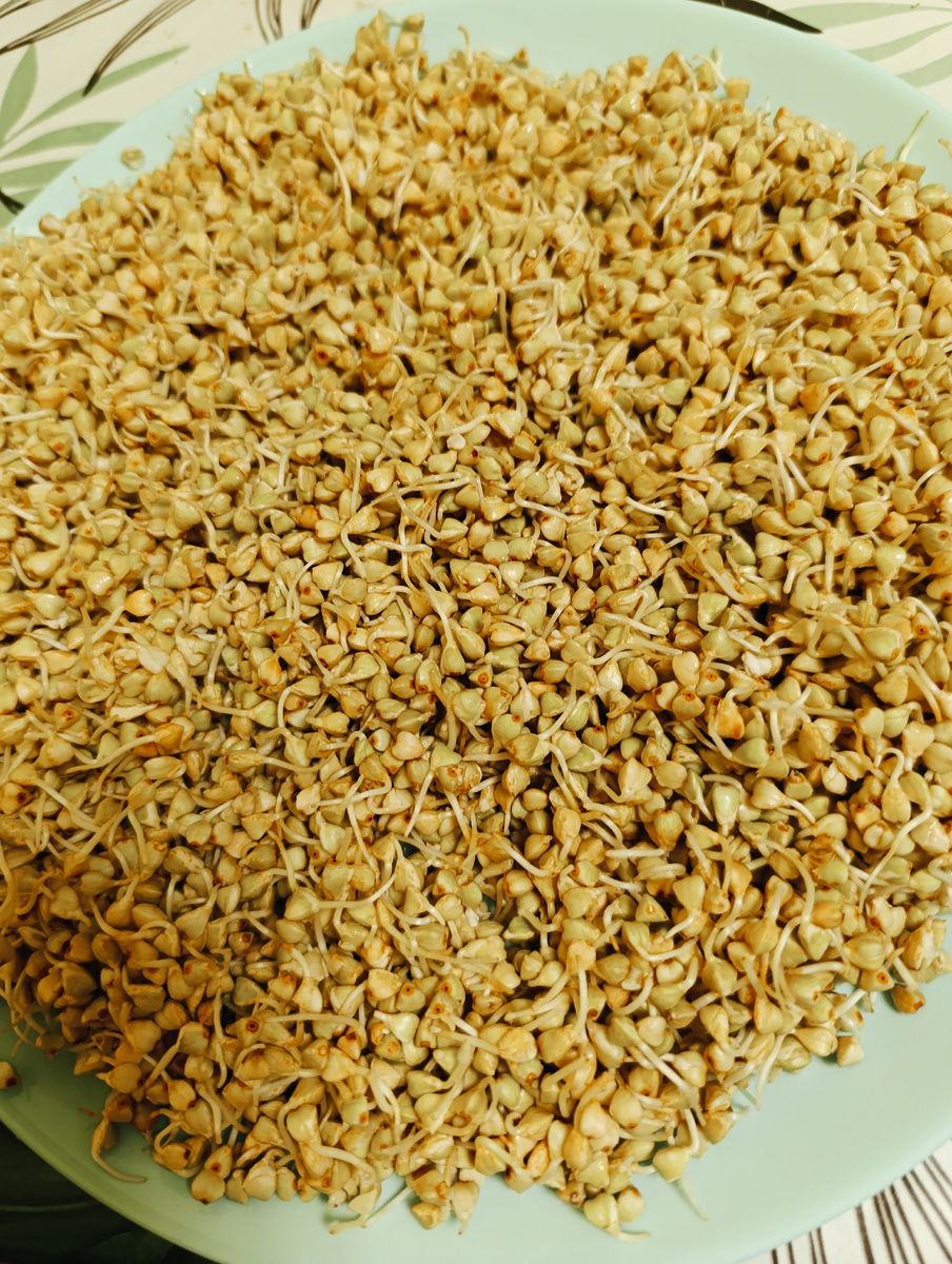 Ничего так. Вкусно. Но я ее ела несколько дней подряд и пока больше не хочу 😁