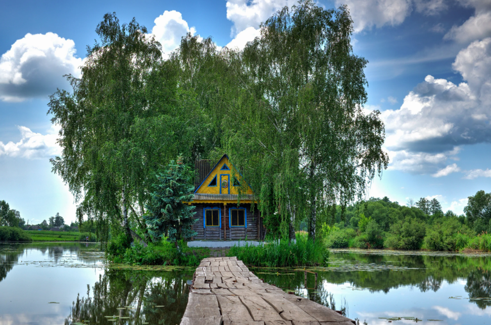 Яндекс картинки