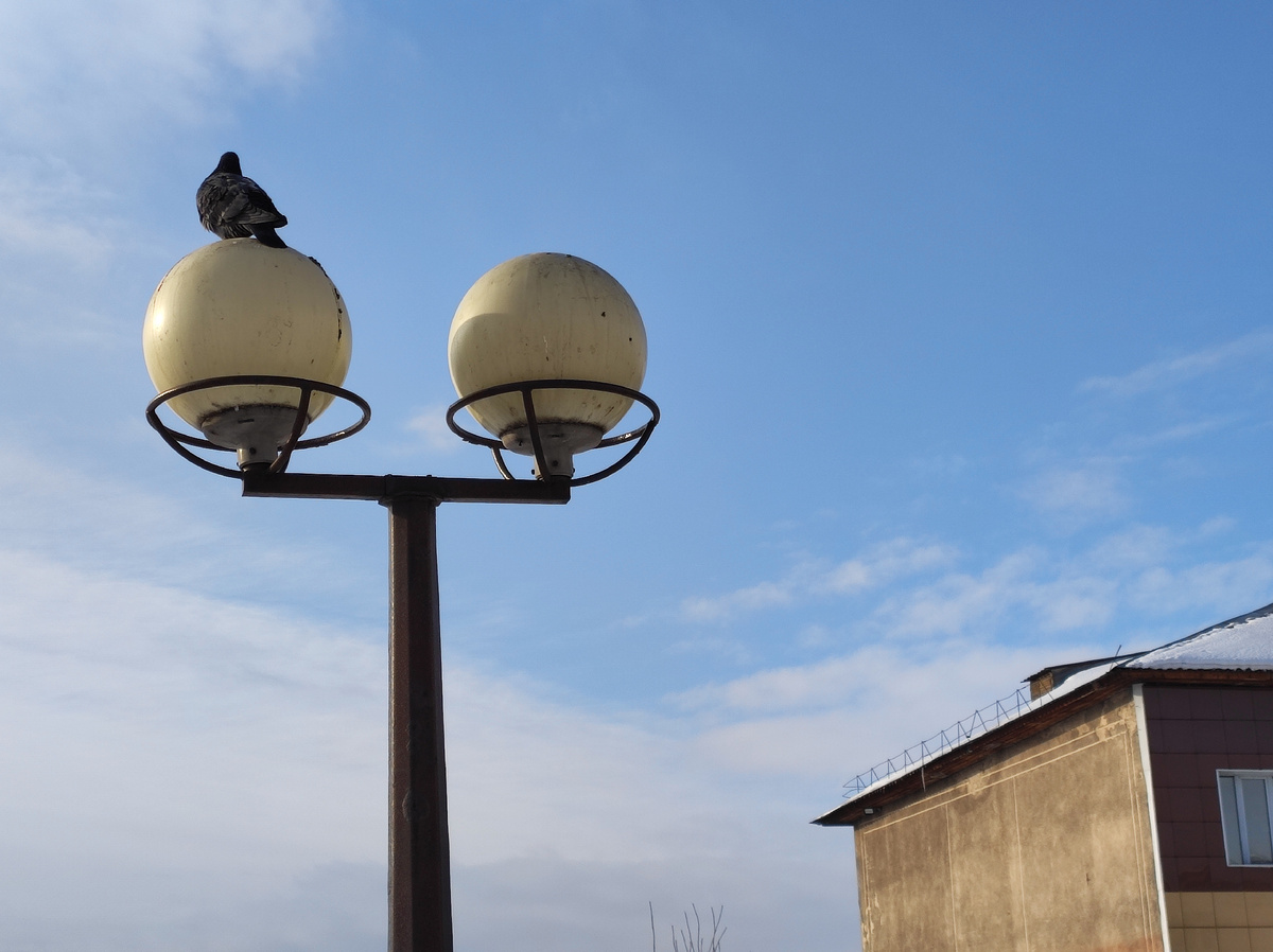 Моя утренняя прогулка 