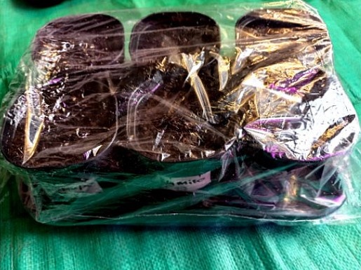 Это уже готовое сооружение из 6-ти контейнеров с посаженными семенами и укутанные в пвкет.