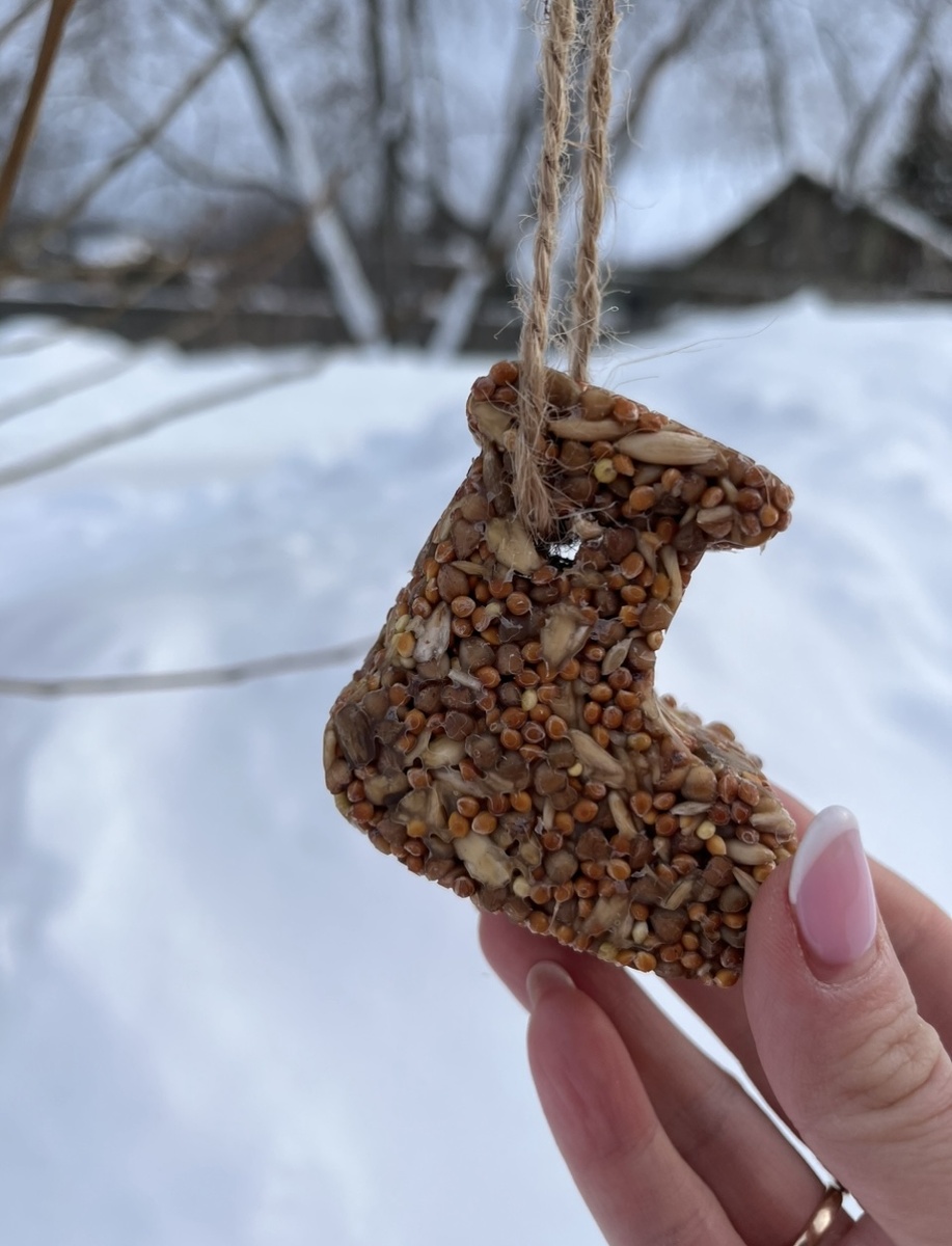 Фото автора для обложки ( угощение для птиц своими руками) 