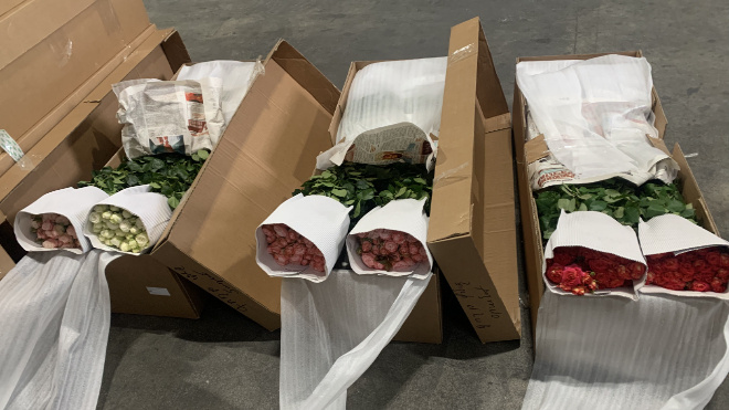 Фото: Северо-Западное таможенное управление