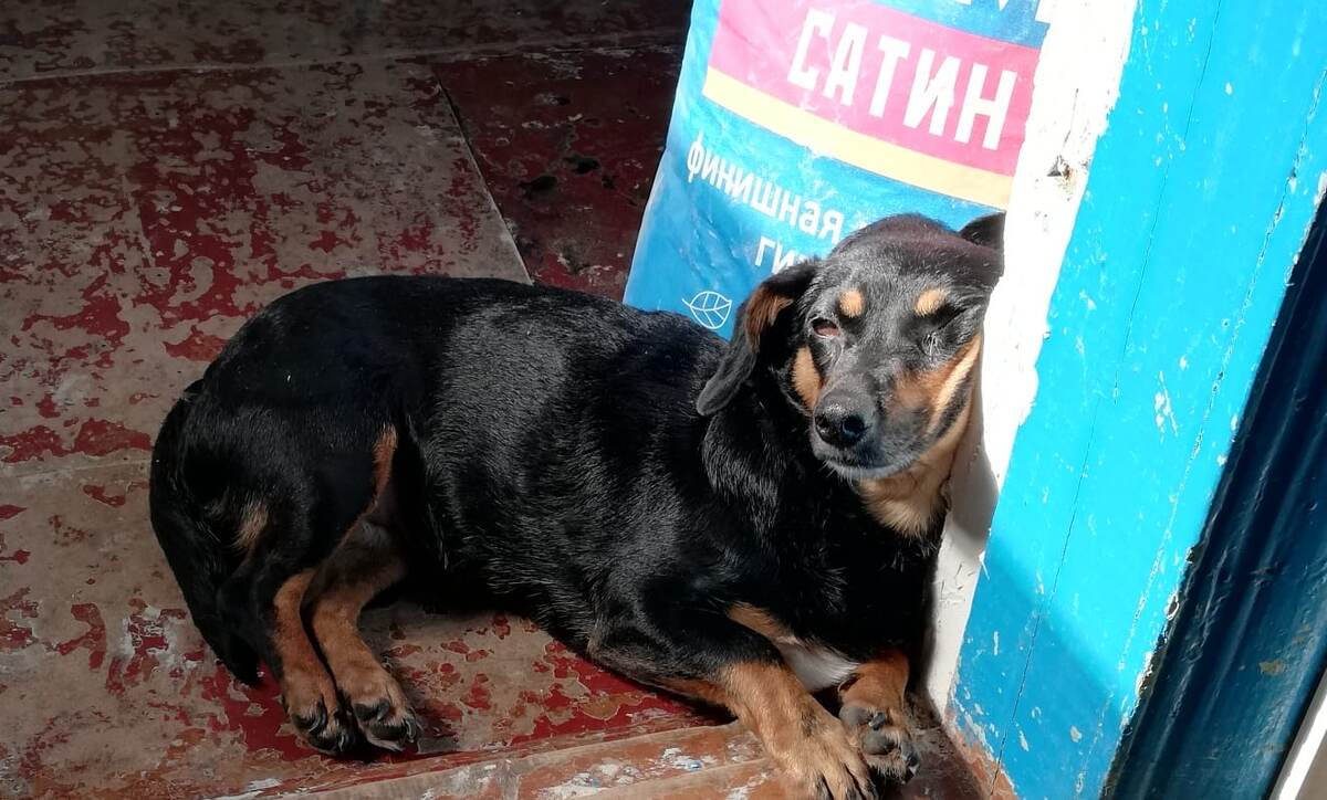 Тося и наши страшные полы)