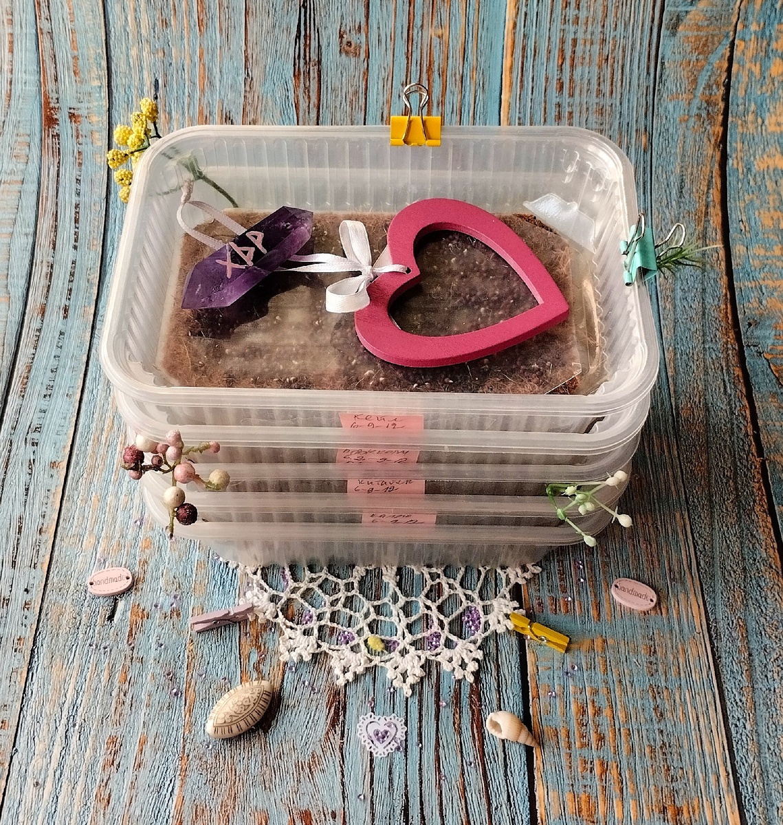 Установка засеянных семенами контейнеров на проращивание. 