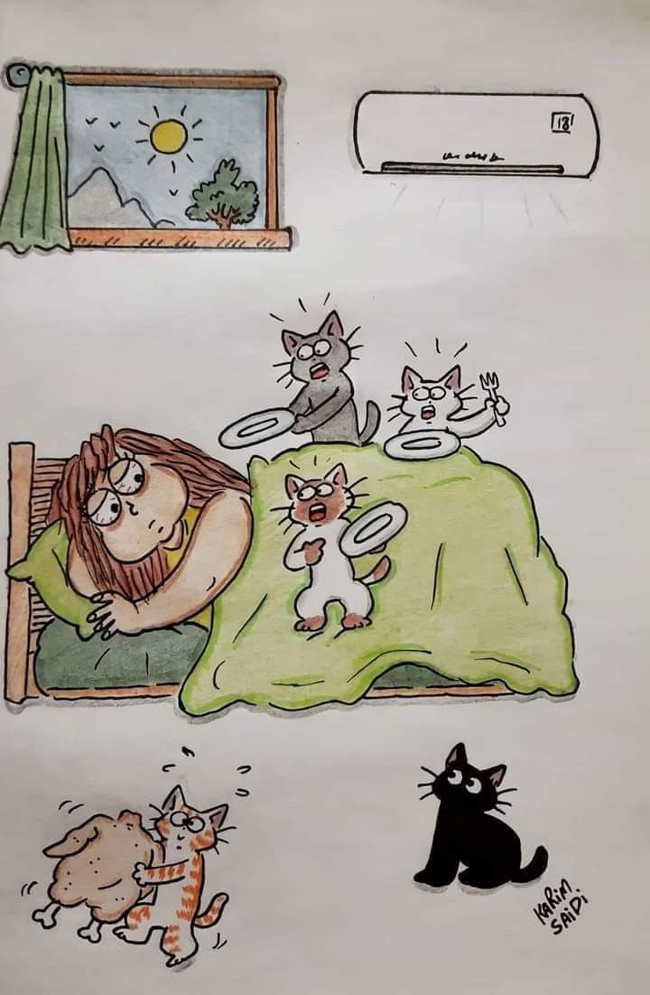 Фото из сети Интернет