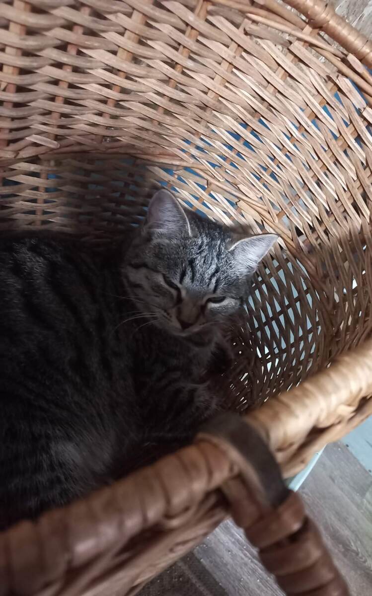 Варвара в детстве, фото автора