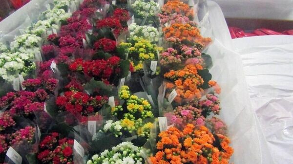    © Photo : Social media page ofТаможенные органы Беларуси