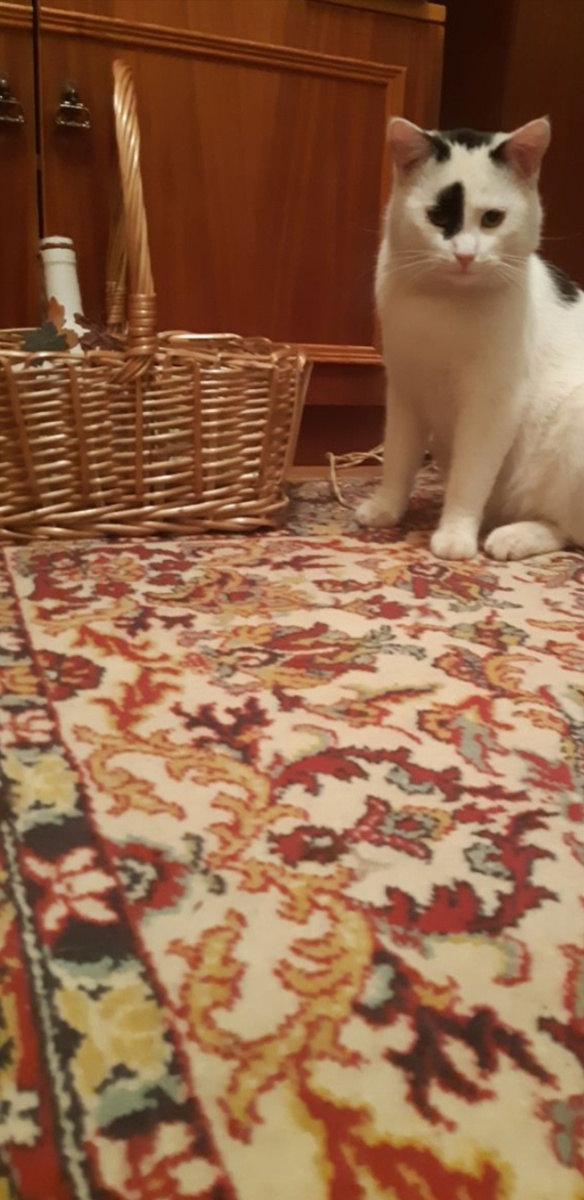 С мартам!фсех