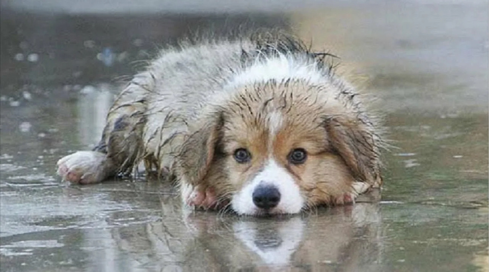 Яндекс.картинки для обложки 