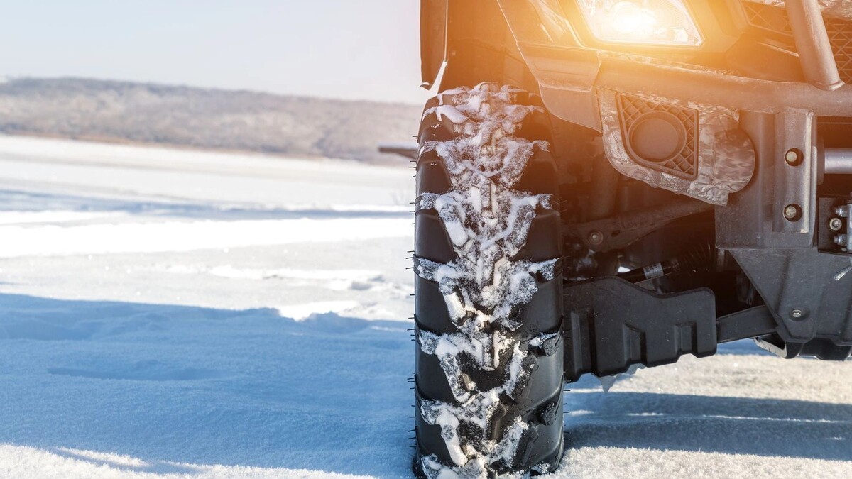    Фото: Gorloff-KV/Shutterstock/Fotodom