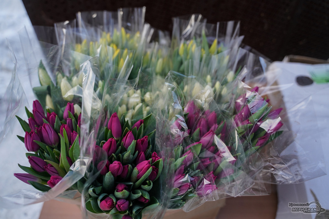    Фото: Лидия Аникина © ИА «Уральский меридиан»