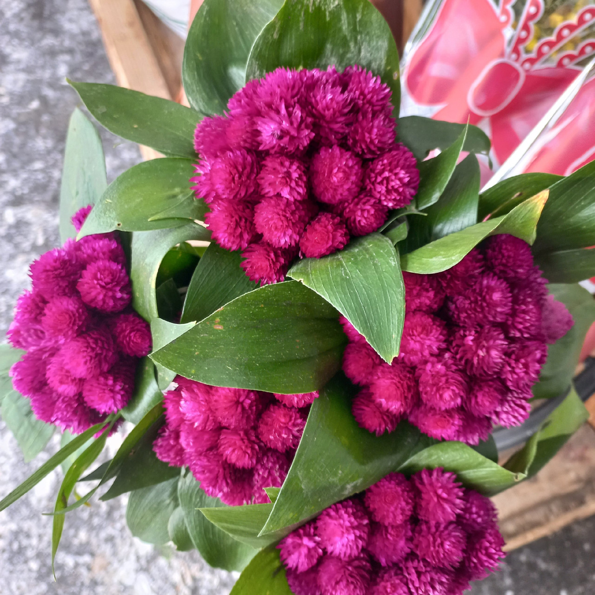 крашенные сухоцветы пахнут очень не очень