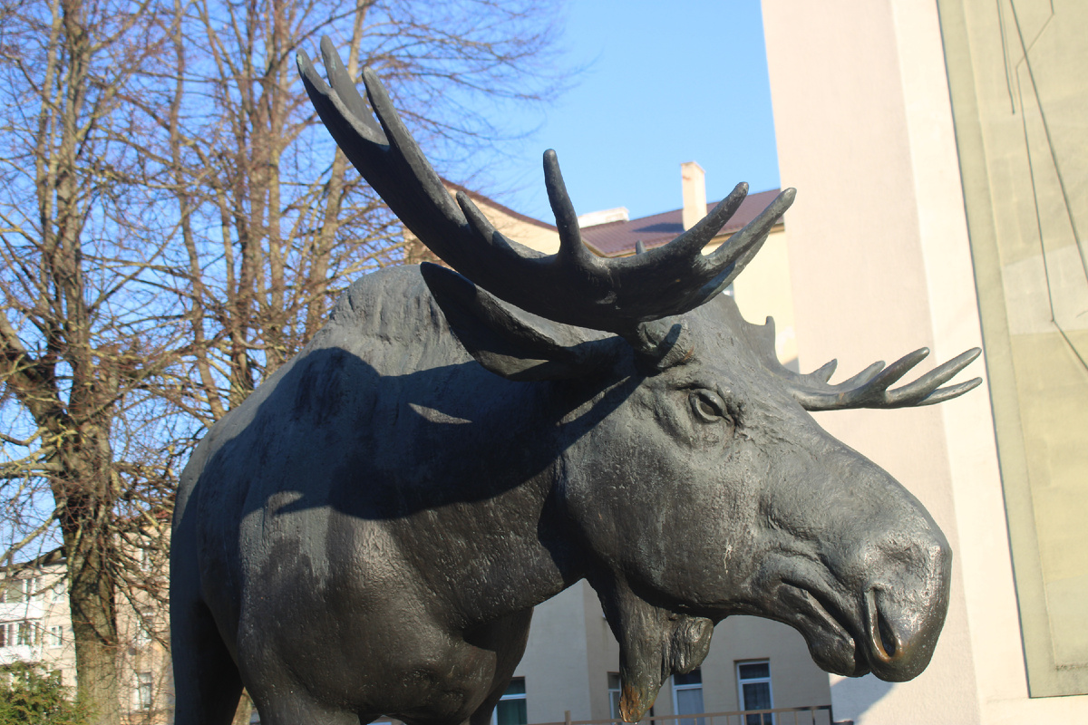 Лось Густав - символ города
