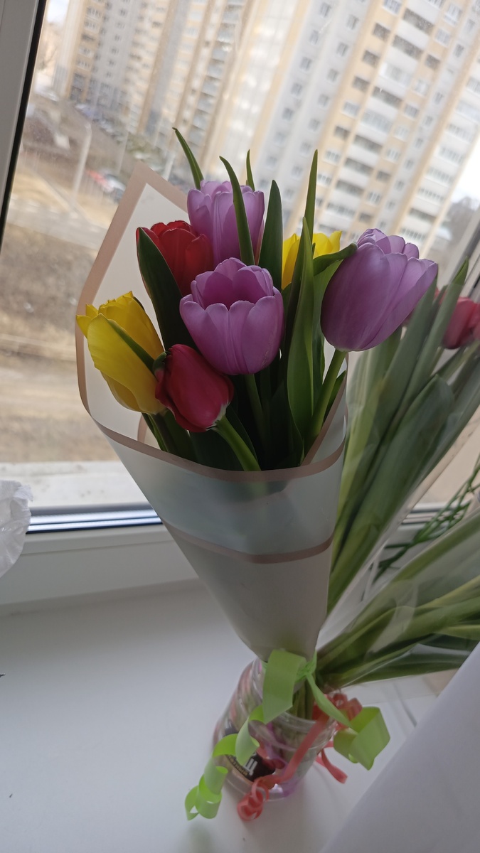 Фото автора 💐 (как бы сюрприз к 8 марта) 🌷