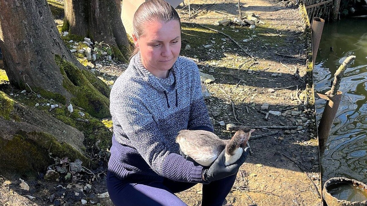    Фото: t.me/sochigeograf