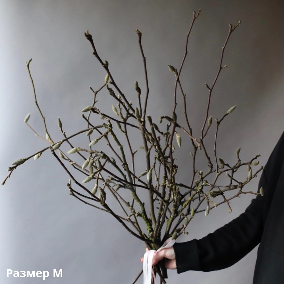 Это, вот, та самая магнолия. Цветов пока что как-то видно не особо. Но зато ленточка нарядная вполне в наличии. Это "эмочка". Всего 40 тысяч стремительно дешевеющих рублей. Есть еще "элечка". За 60. Тоже тысяч тех же самых рублей. Но, с другой стороны, и вполне себе бюджетная "эсочка" в продаже также имеется. В вазе, больше банку из-под варенья напоминающей. Всего 20 тысяч. Бюджетно же и здорово, а?! 