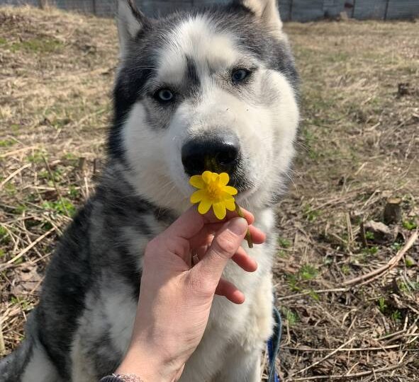 С праздником! С 8 Марта🌸💫