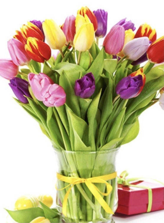 Источник фото Яндекс картинки 