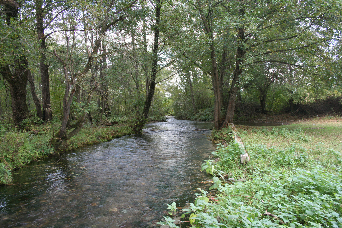 Это, собственно, сама речка Черная