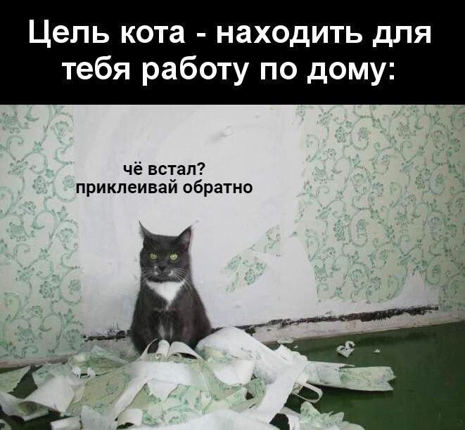 источник Яндекс-картинки