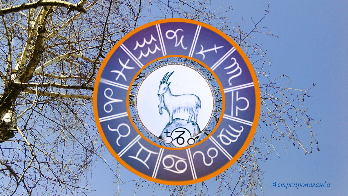 Гороскоп для Козерога с 3 по 30 марта 2025.