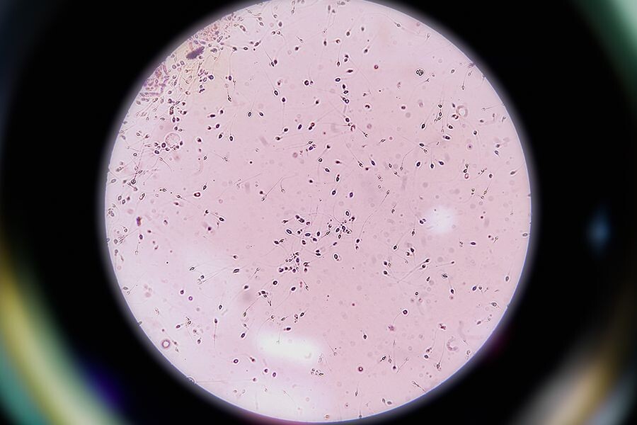    Фото: MyBeautifulBangladesh / Shutterstock.com