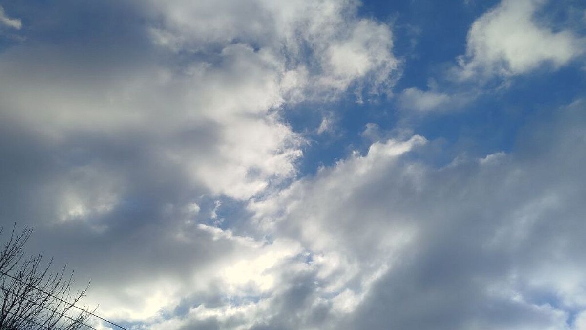    Фото: телеканал «Краснодар»