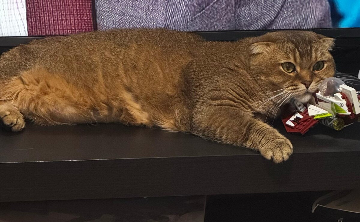 Мэй Ли (фото из личного архива)