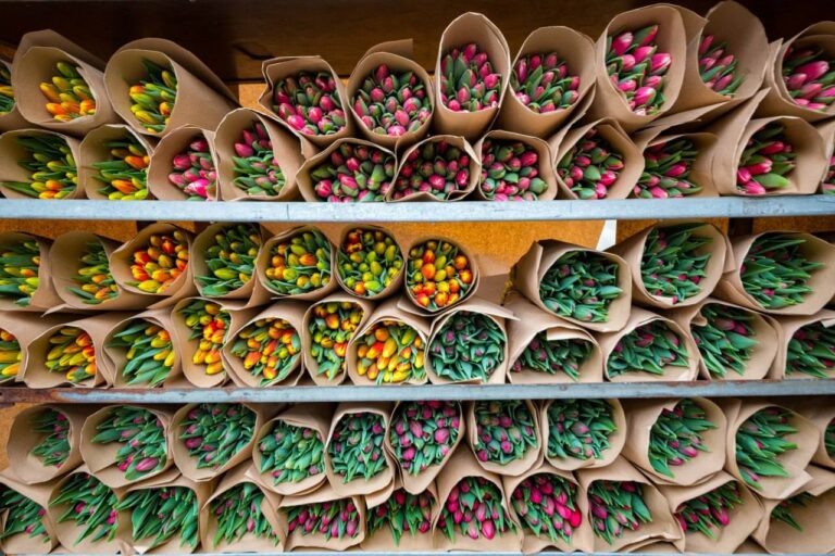    Фото: t.me/kgh_moscow Екатерина Шахнина