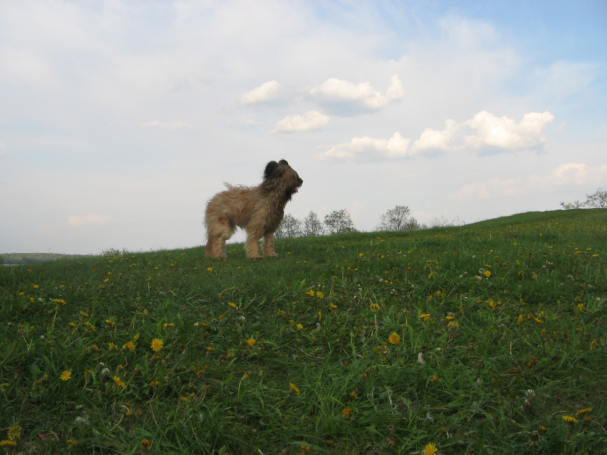 Наш красавец