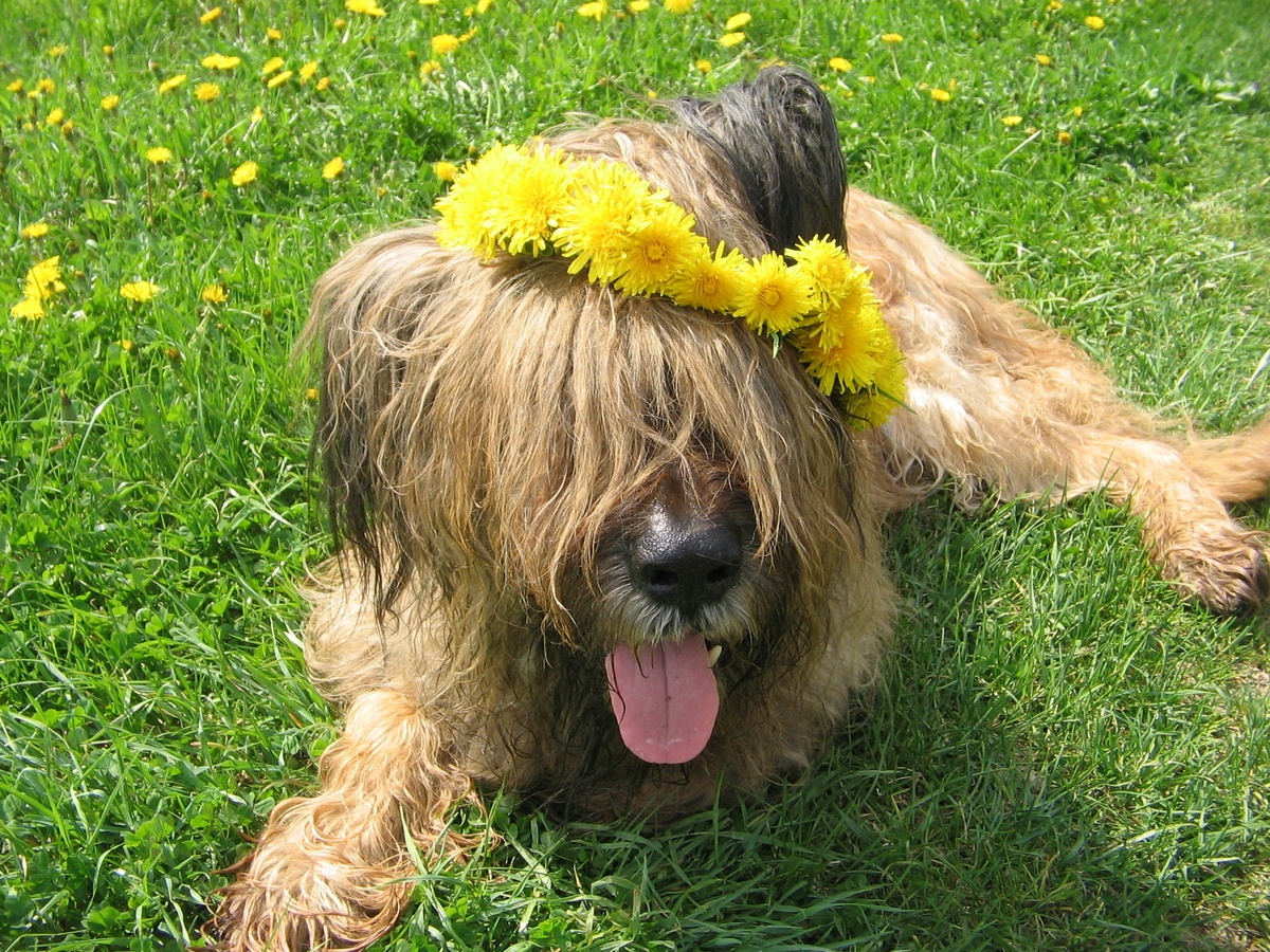 Стойко терпит и венок на голове