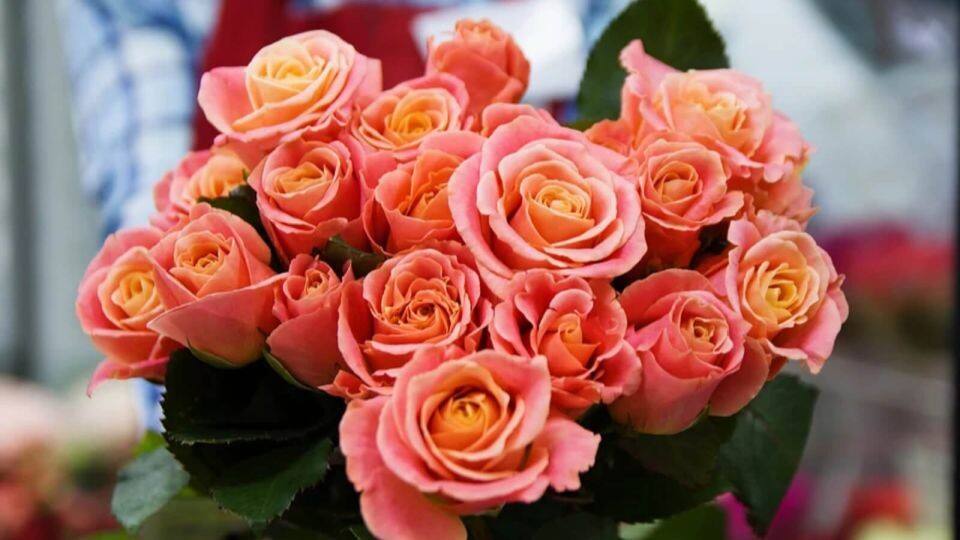    Букет. Цветы. Источник: pixabay.com