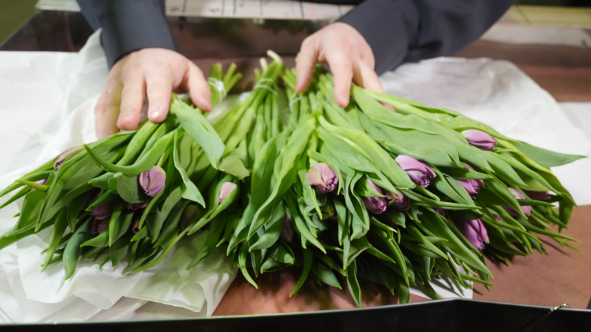    Фото: ИЗВЕСТИЯ/Эдуард Корниенко