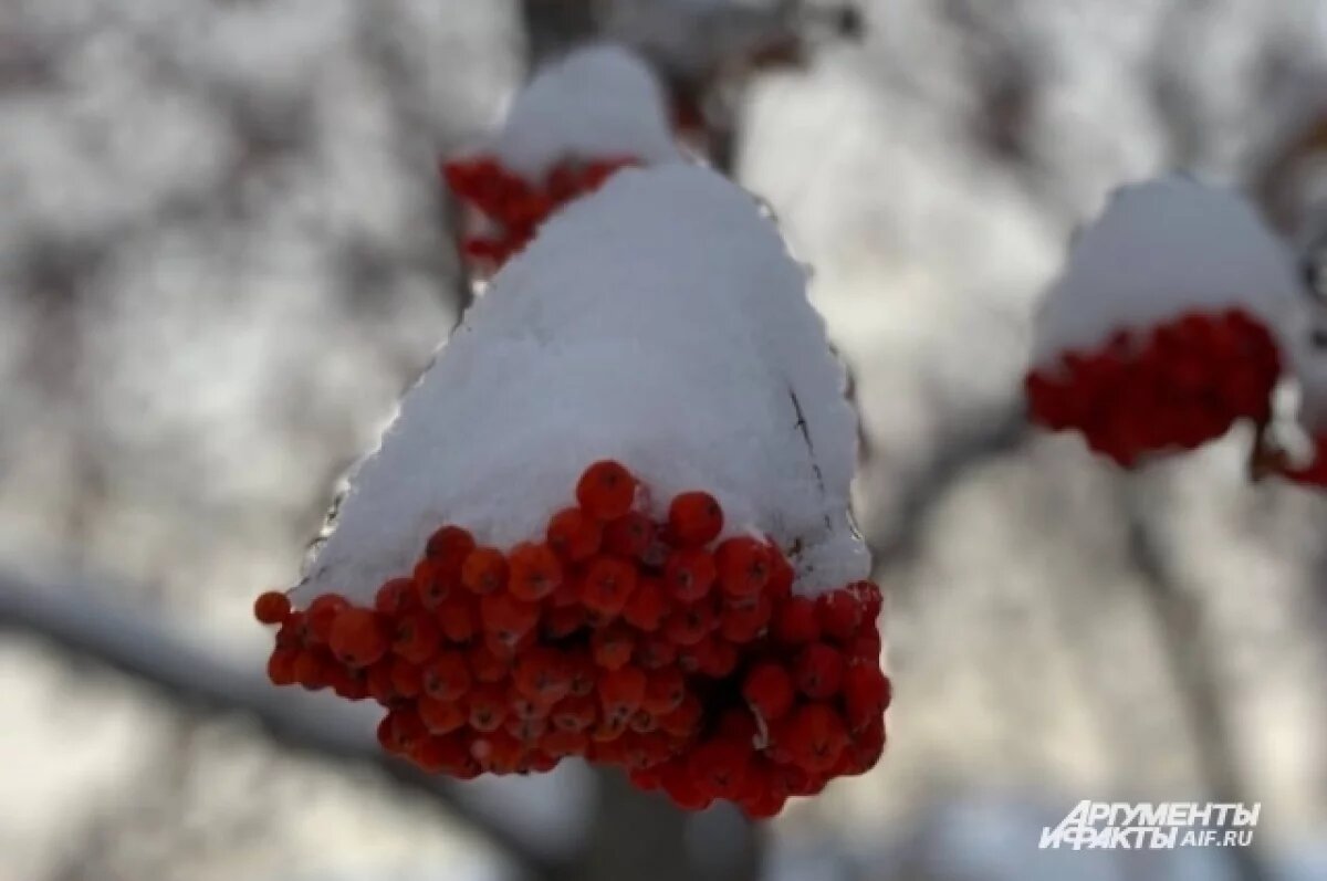    Поликарпов день. Что можно и что нельзя делать 8 марта, народные приметы
