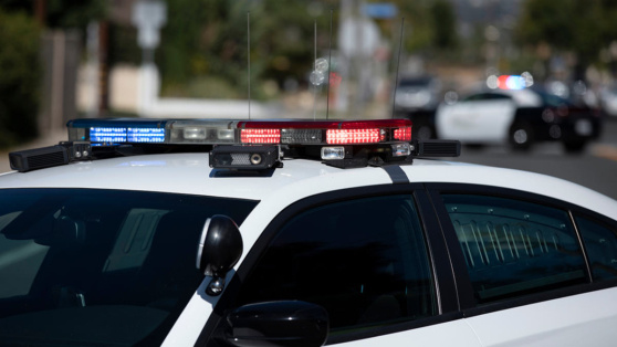    Актер Джин Хэкмен и его жена умерли естественной смертью – полиция Егор Гордеев