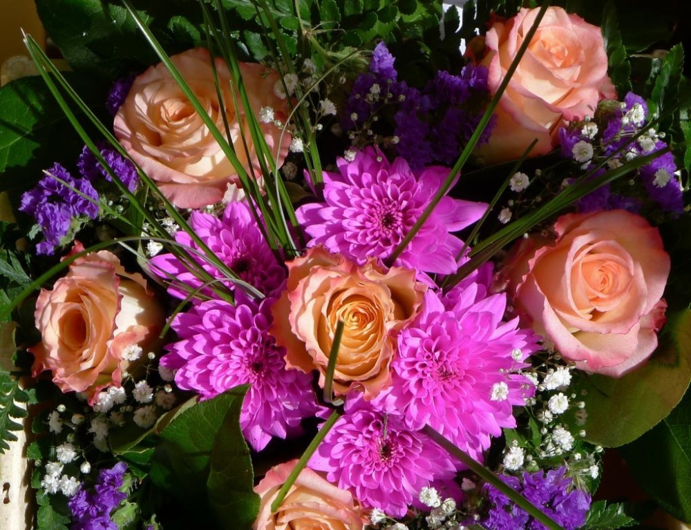 Яндекс картинки.