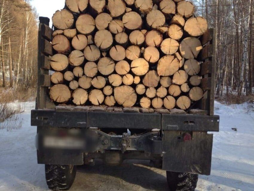    Фото: Пресс-служба Минприроды Забайкалья