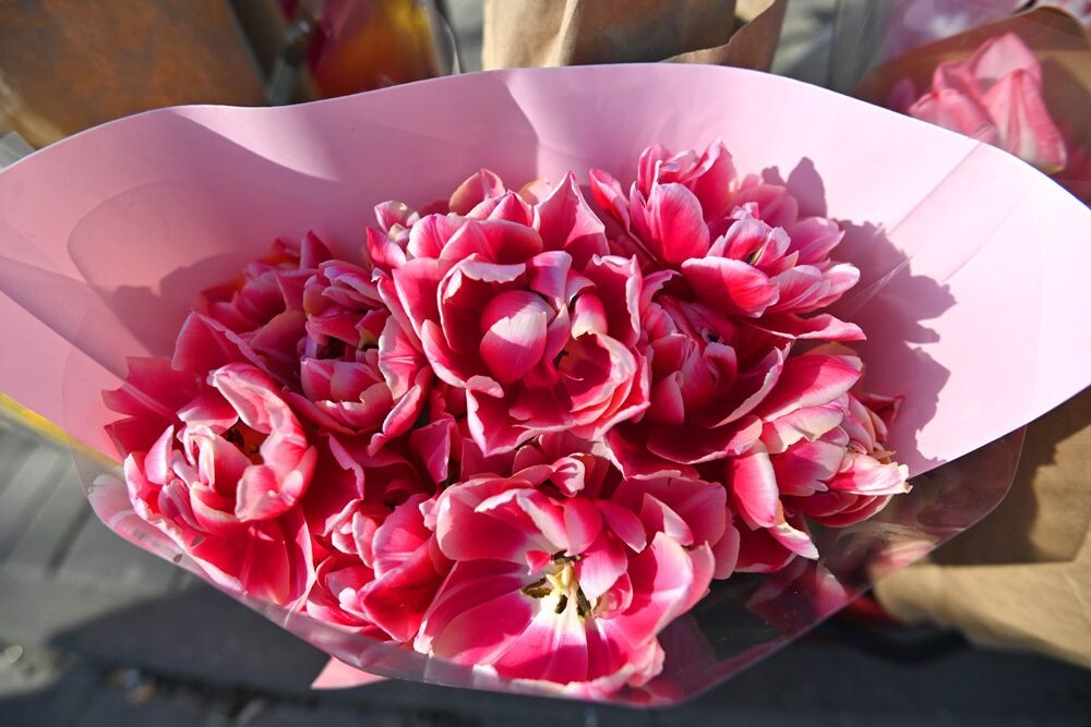  
Кстати, рынок – одно из немногих мест, где можно купить мимозу. Цена  зависит от того, насколько она большая и пушистая. Короткие веточки  стоят 3 рубля, крупные – 15 и выше.