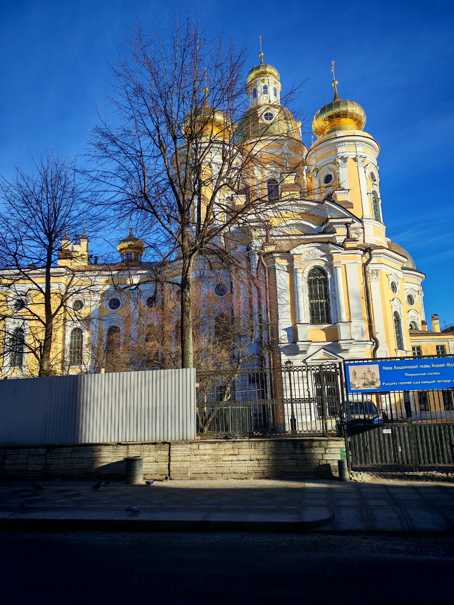 Владимирский собор. Сегодня редкое для этого года солнце. 