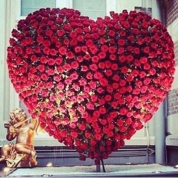 Из открытых источников