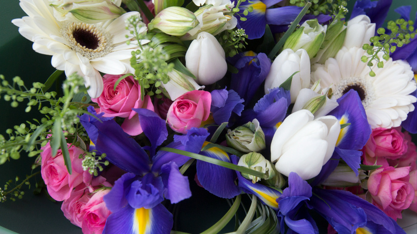    Фото: www.globallookpress.com/Nikolay Gyngazov, Николай