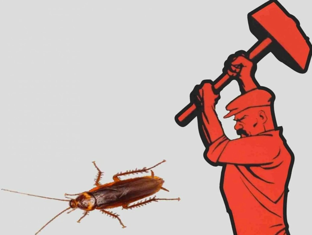 Tarakany opyt bor'by v SSSR