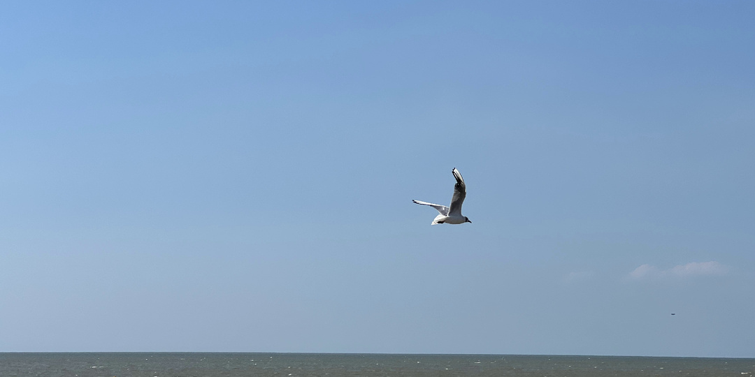 Что не так с Ейском, или почему оттуда уезжают?