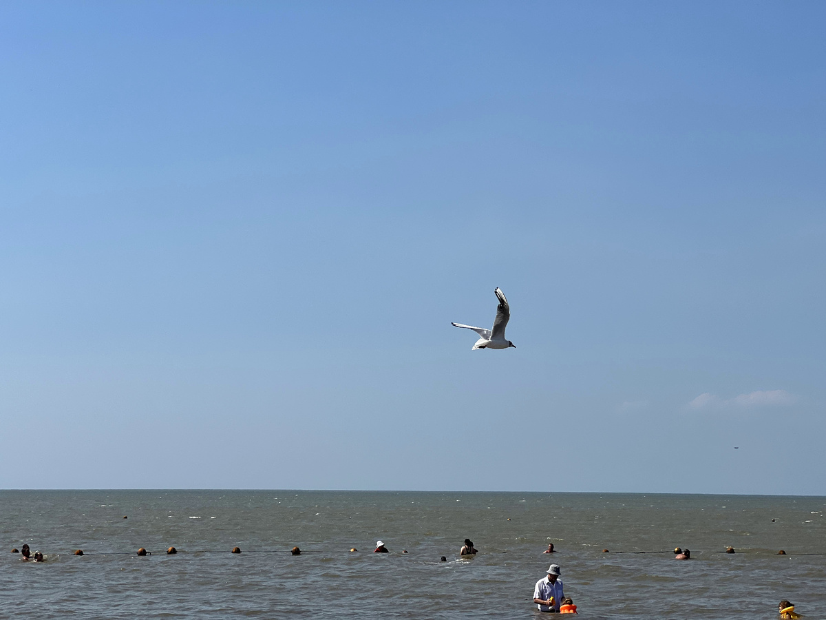 Азовское море летом 