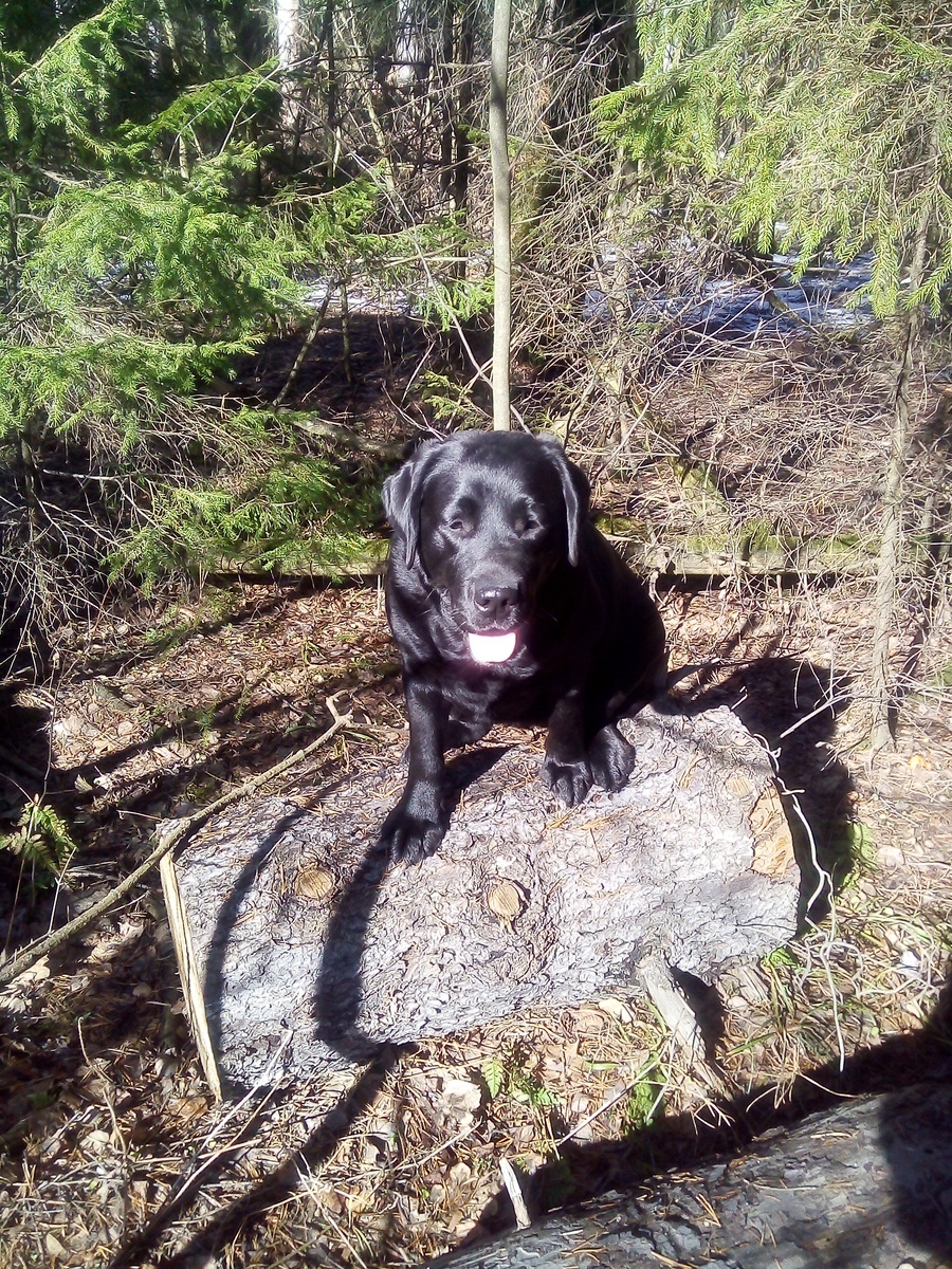 Фото автора.