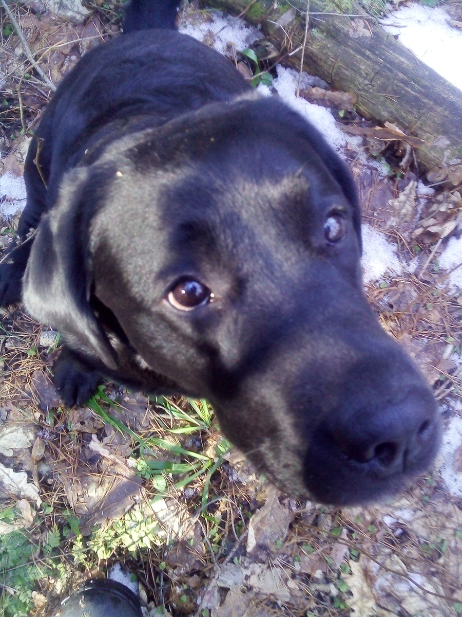 Фото автора.