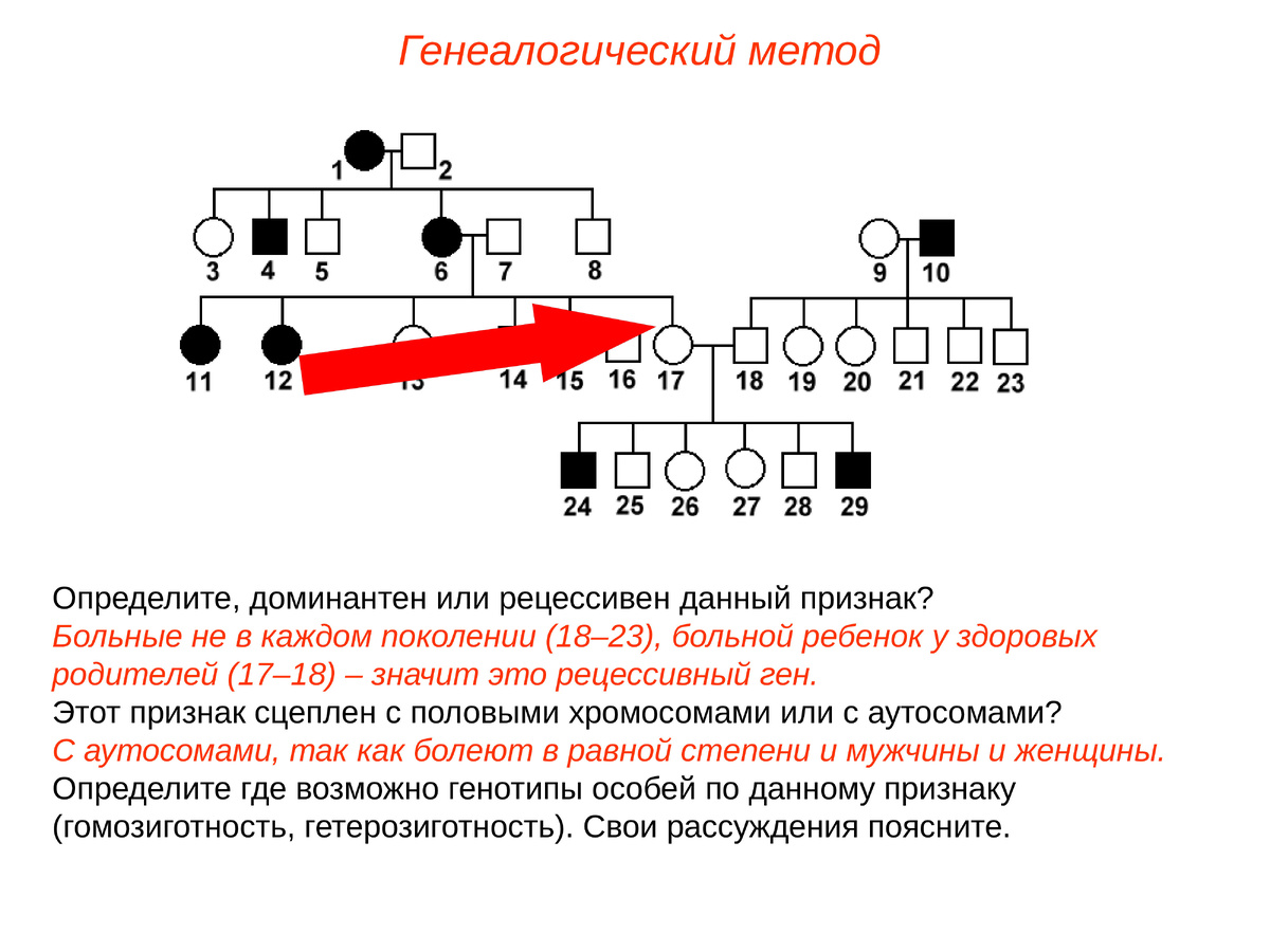    Технологии, меняющие историю вашей семьи