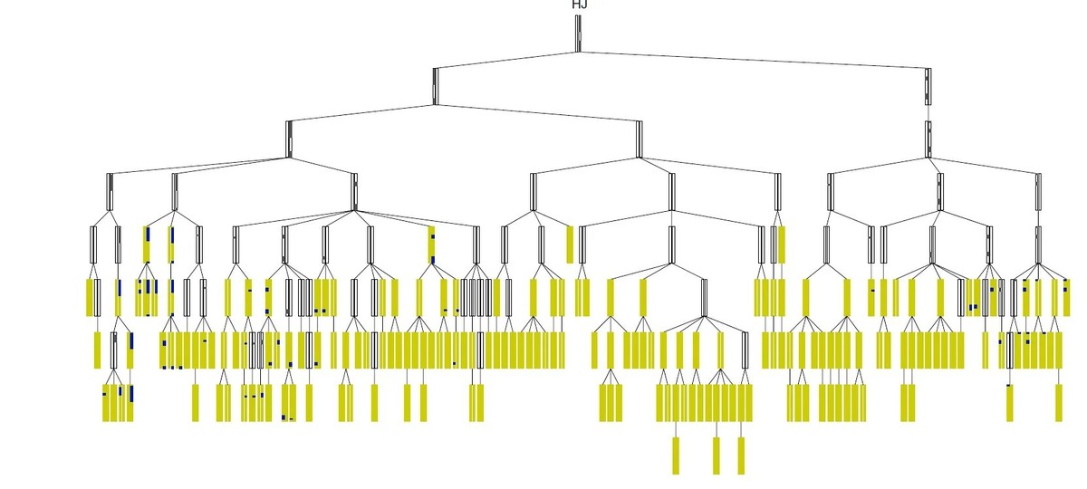    Технологии, меняющие историю вашей семьи
